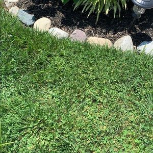 Meet your Posher, Sophia